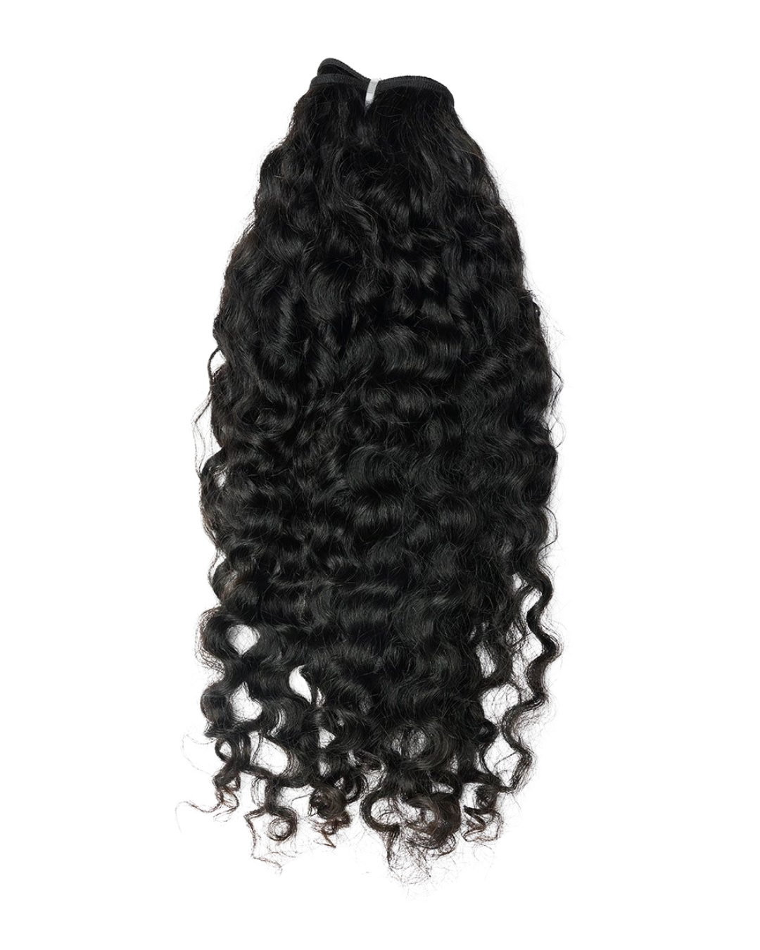 Laos Curly